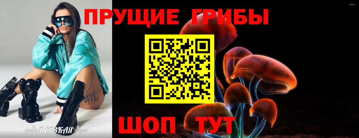 Псилоцибиновые грибы мицелий Дмитров